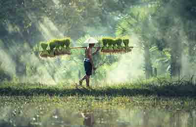 鄉(xiāng)村旅游發(fā)展的問題