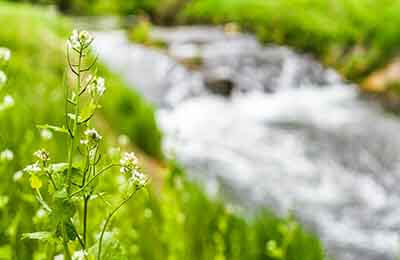 生態(tài)環(huán)保的問(wèn)題