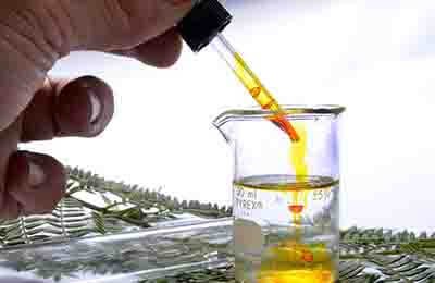 科學(xué)教育研究