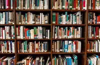 圖書業(yè)務(wù)員工作計(jì)劃