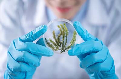 微觀經(jīng)濟(jì)學(xué)主要研究