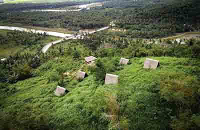 變電站綠化工作思路