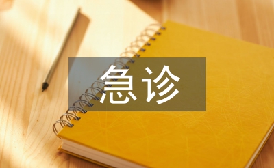 急診醫(yī)生工作總結(jié)