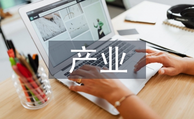 產(chǎn)業(yè)經(jīng)濟(jì)學(xué)畢業(yè)論文