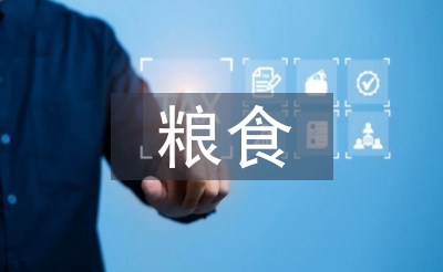 愛惜糧食的感悟