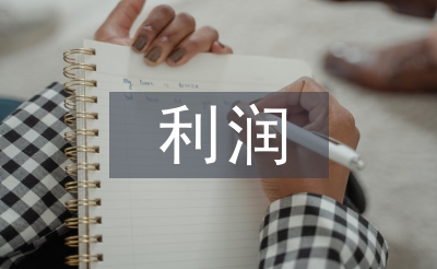 利潤(rùn)實(shí)訓(xùn)總結(jié)