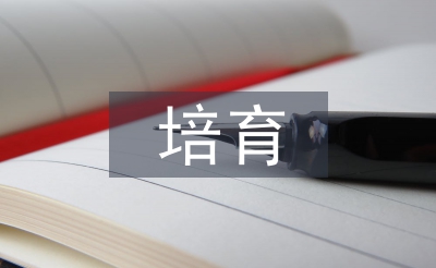 團(tuán)隊(duì)精神培育