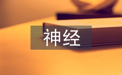 神經(jīng)外科醫(yī)生工作計(jì)劃