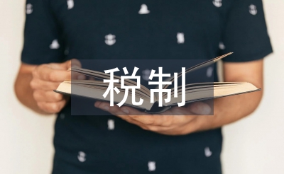 稅制設計論文