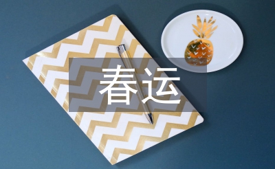 春運(yùn)總結(jié)