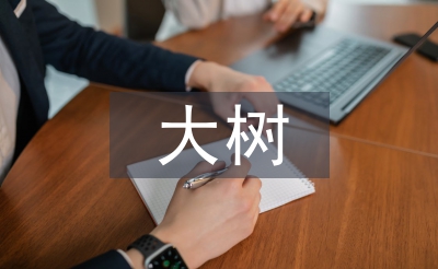 野生香樟大樹的移栽與養(yǎng)護(hù)