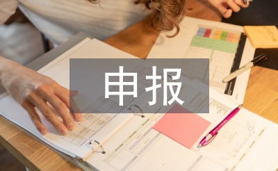 申報(bào)工作匯報(bào)