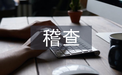 稽查中隊工作計劃