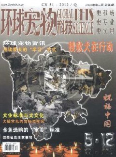 環(huán)球?qū)櫸锟萍? />
					</div>
					<div   id=