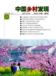 中國(guó)鄉(xiāng)村發(fā)現(xiàn)