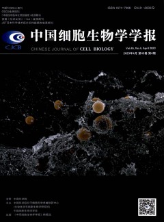 中國細胞生物學(xué)學(xué)報雜志