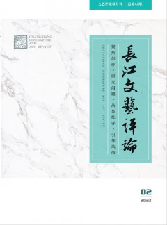 長(zhǎng)江文藝評(píng)論雜志