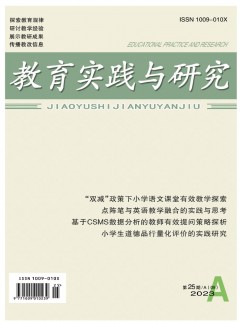 教育實(shí)踐與研究(A)雜志