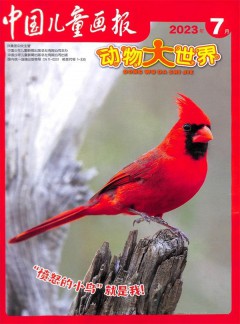 動(dòng)物大世界雜志