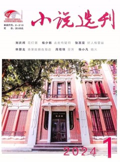 小說(shuō)選刊雜志