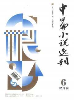 中篇小說(shuō)選刊雜志