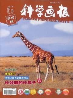 科學(xué)畫(huà)報(bào)雜志