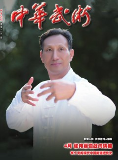 中華武術(shù)雜志