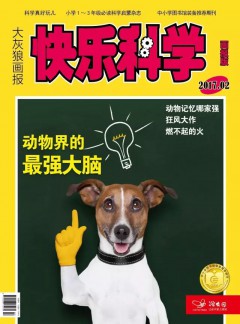 快樂科學(xué)雜志
