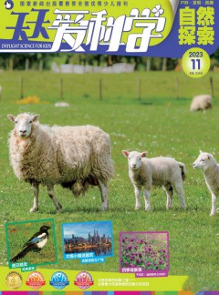 天天愛科學(xué)雜志