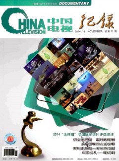 中國電視·紀(jì)錄