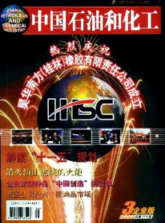 中國(guó)石油和化工·企業(yè)版