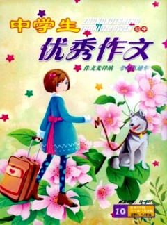 中學生優(yōu)秀作文·初中版