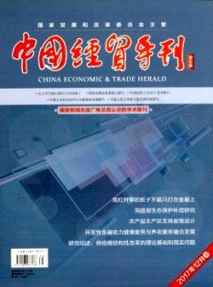 中國經(jīng)貿(mào)導(dǎo)刊(中)