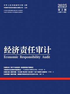 經(jīng)濟(jì)責(zé)任審計(jì)