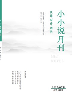 小小說月刊雜志