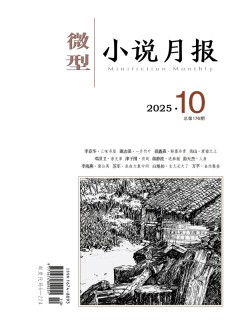微型小說(shuō)月報(bào)雜志