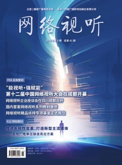 網(wǎng)絡(luò)視聽