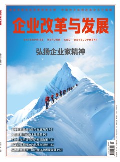 企業(yè)改革與發(fā)展雜志